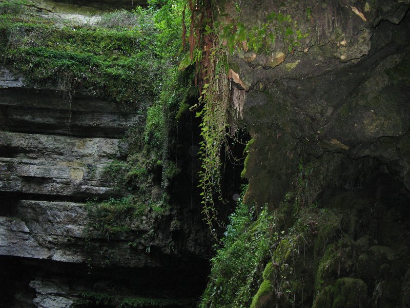 Cantal mai 2011(076).JPG
